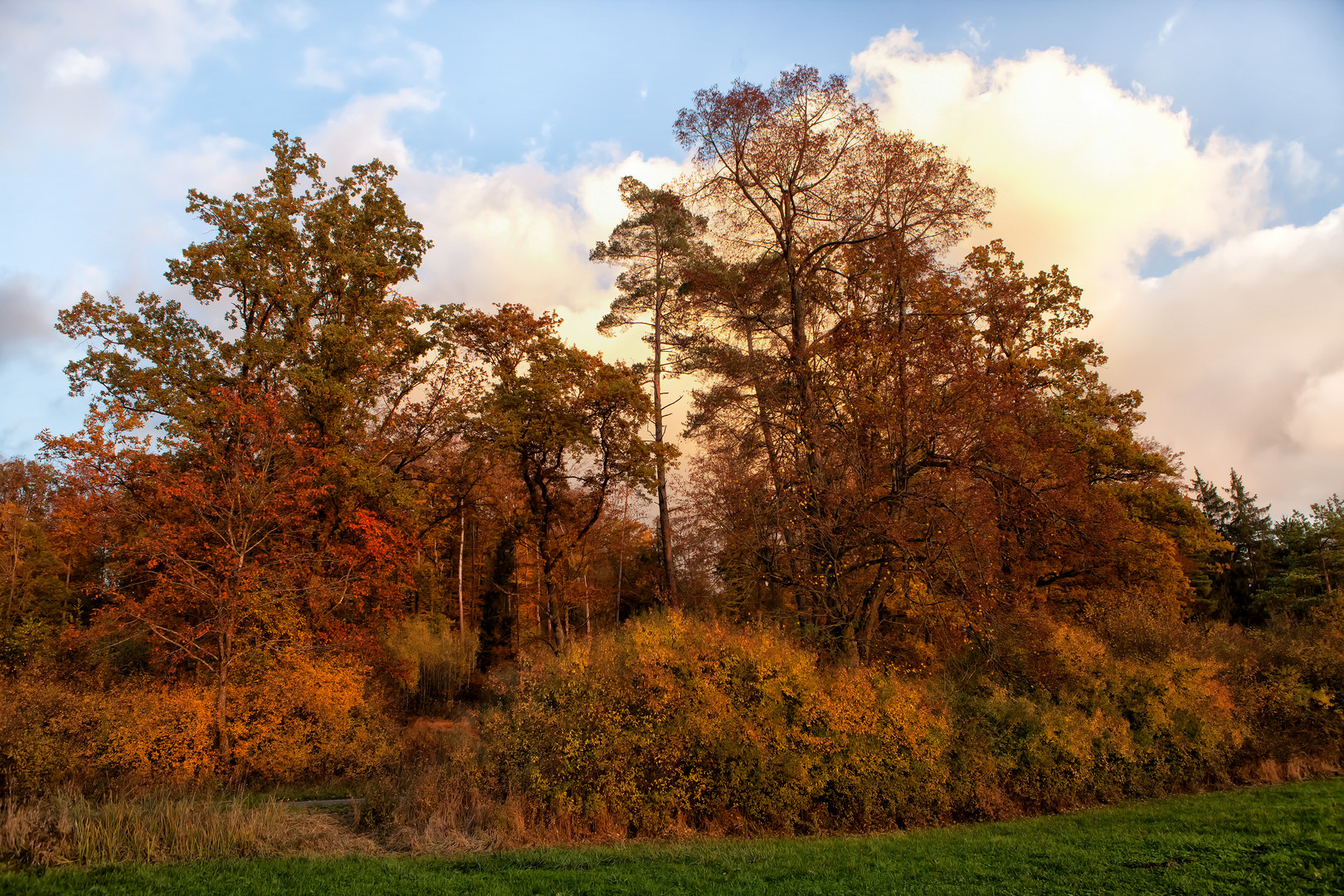 Herbstfarben