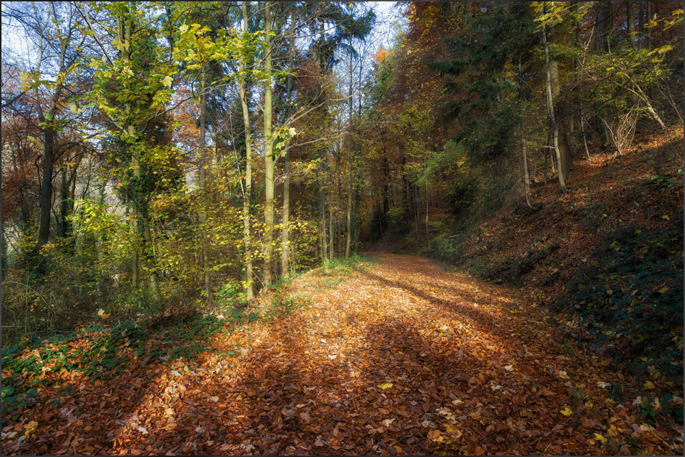 Herbstfarben