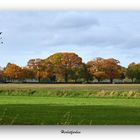 Herbstfarben