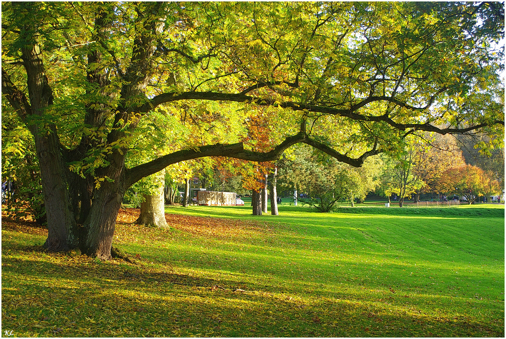 Herbstfarben.