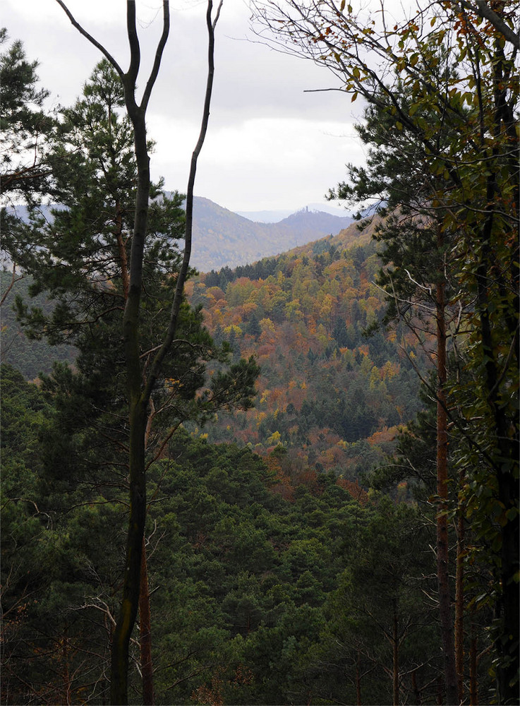 Herbstfarben