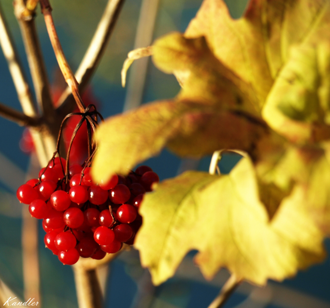 Herbstfarben