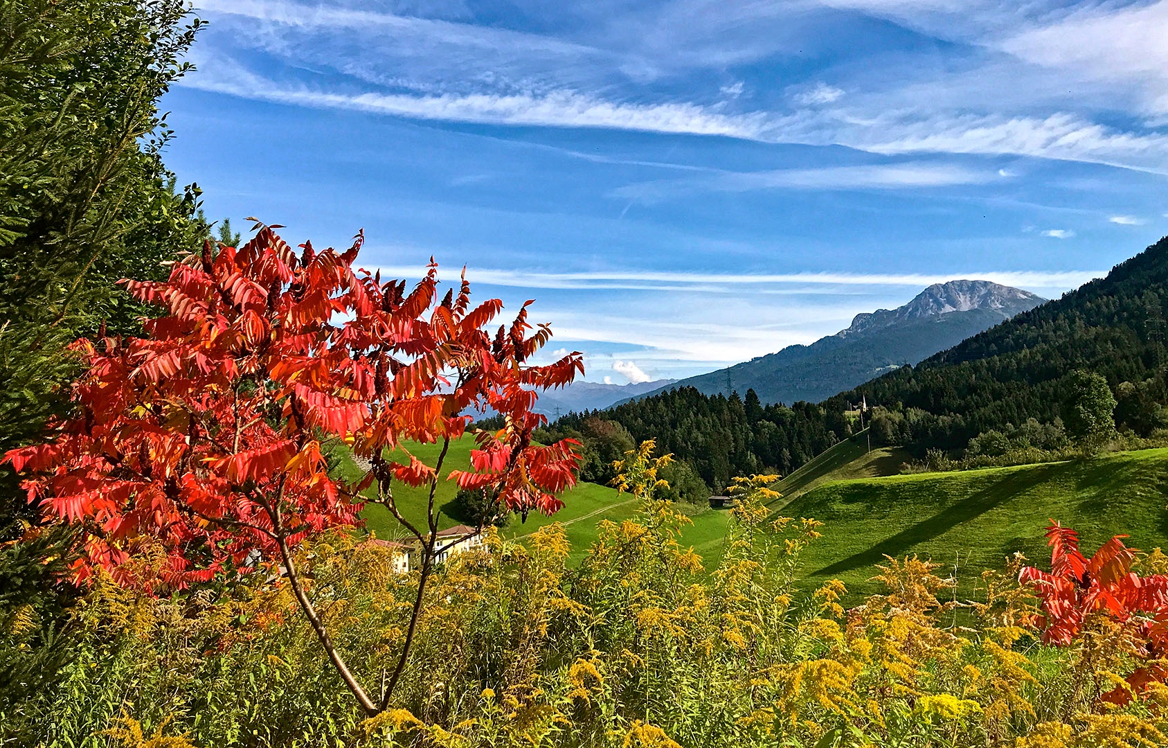 Herbstfarben