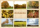 Herbstfarben von Inge Köhn 