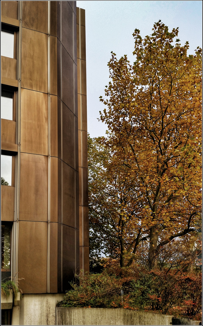 Herbstfarben Foto & Bild | architektur, stahlbau, hannover Bilder auf