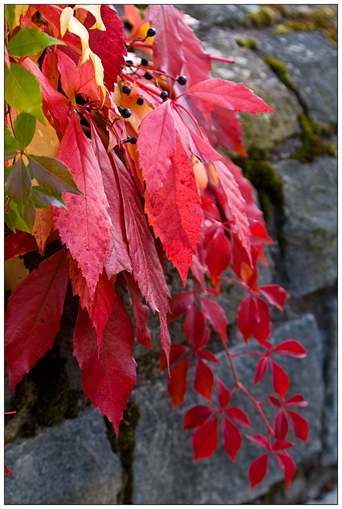 Herbstfarben