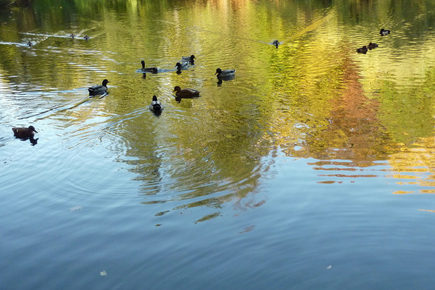 Herbstfarben