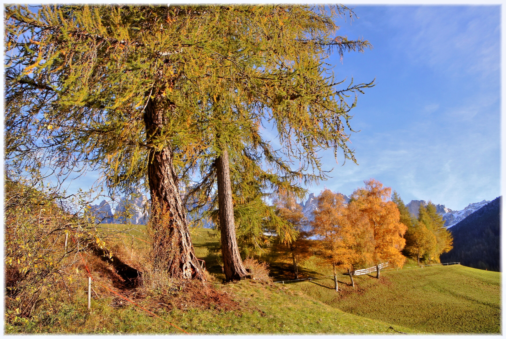 Herbstfarben