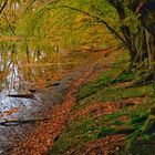 Herbstfarben