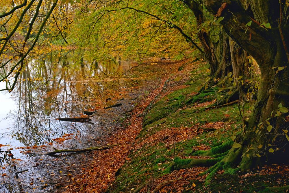 Herbstfarben