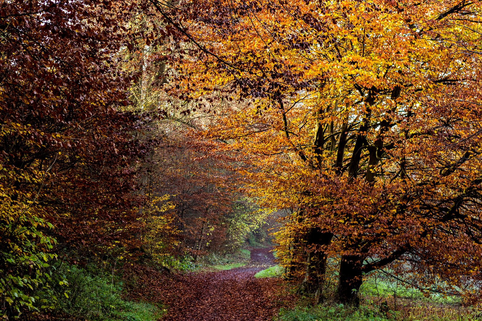 Herbstfarben