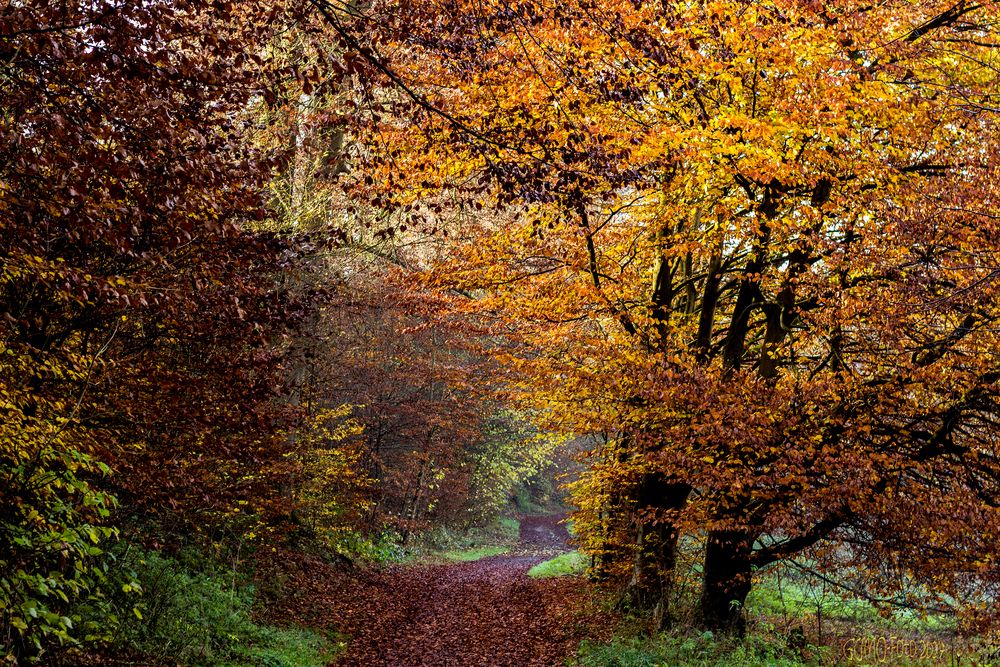 Herbstfarben