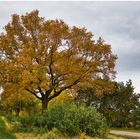 Herbstfarben