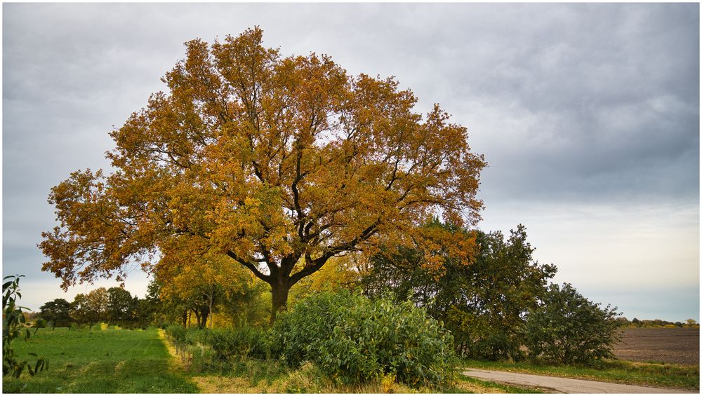 Herbstfarben