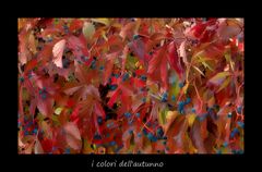 Herbstfarben