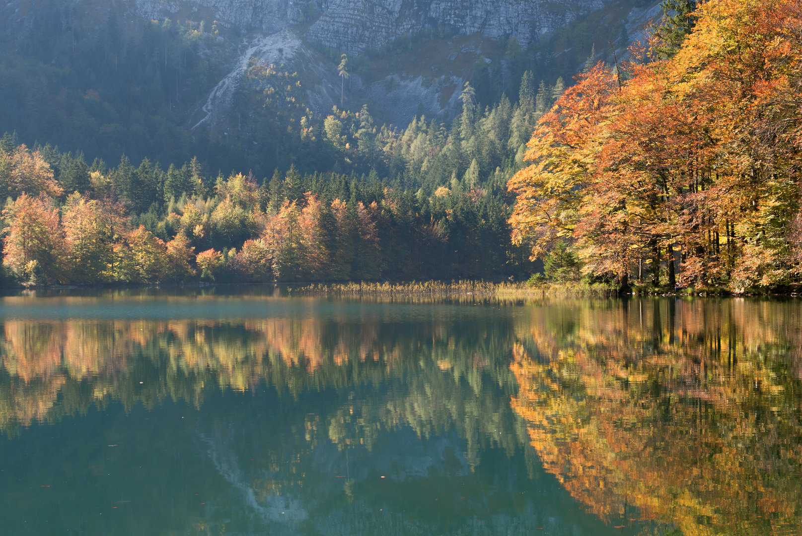 Herbstfarben..