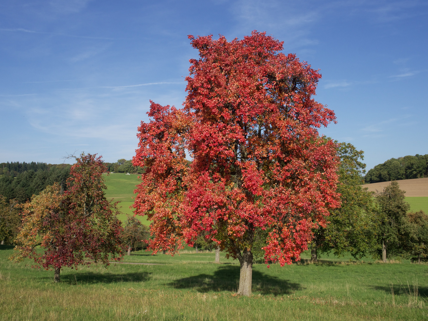 Herbstfarben