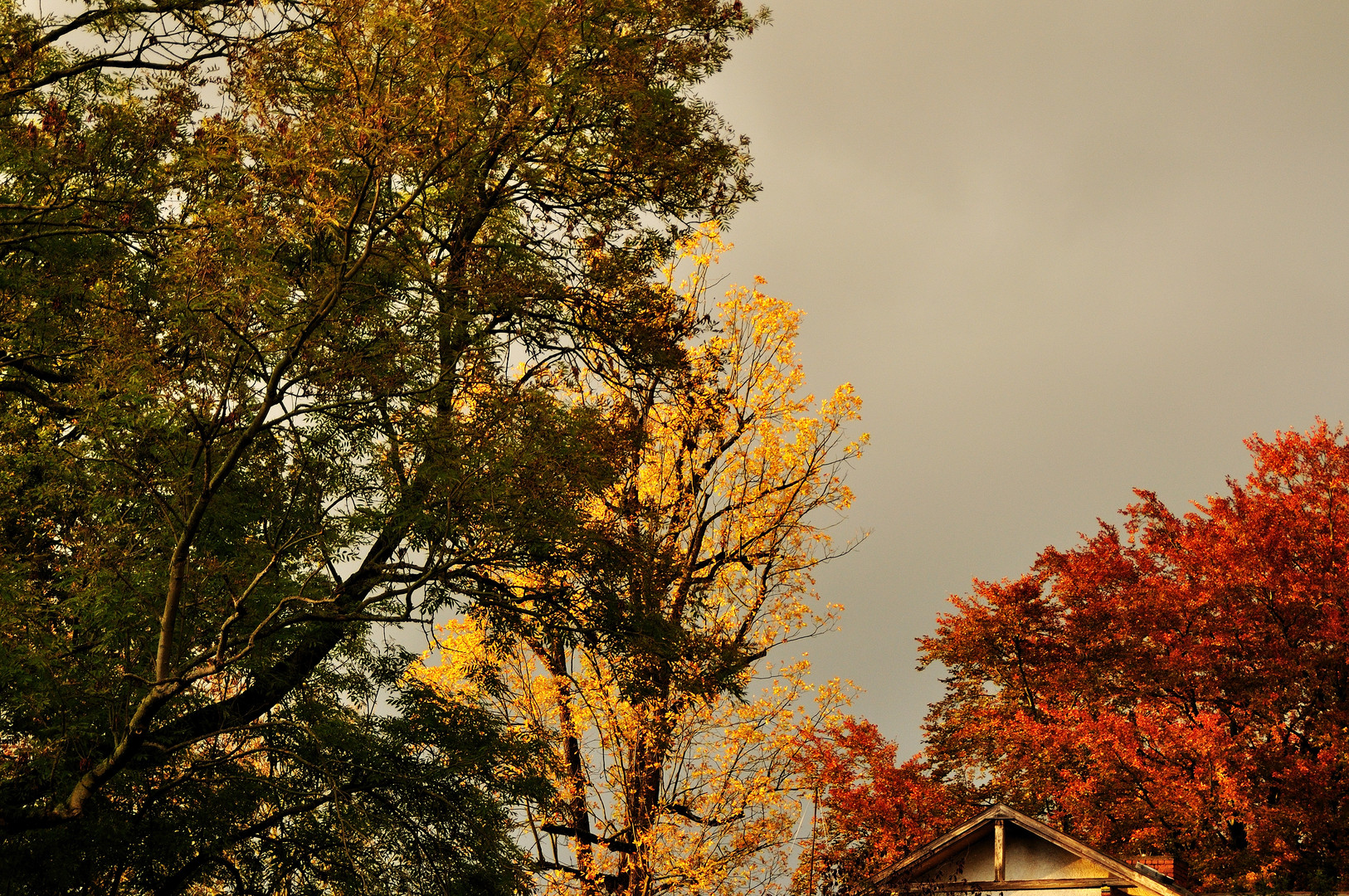 Herbstfarben