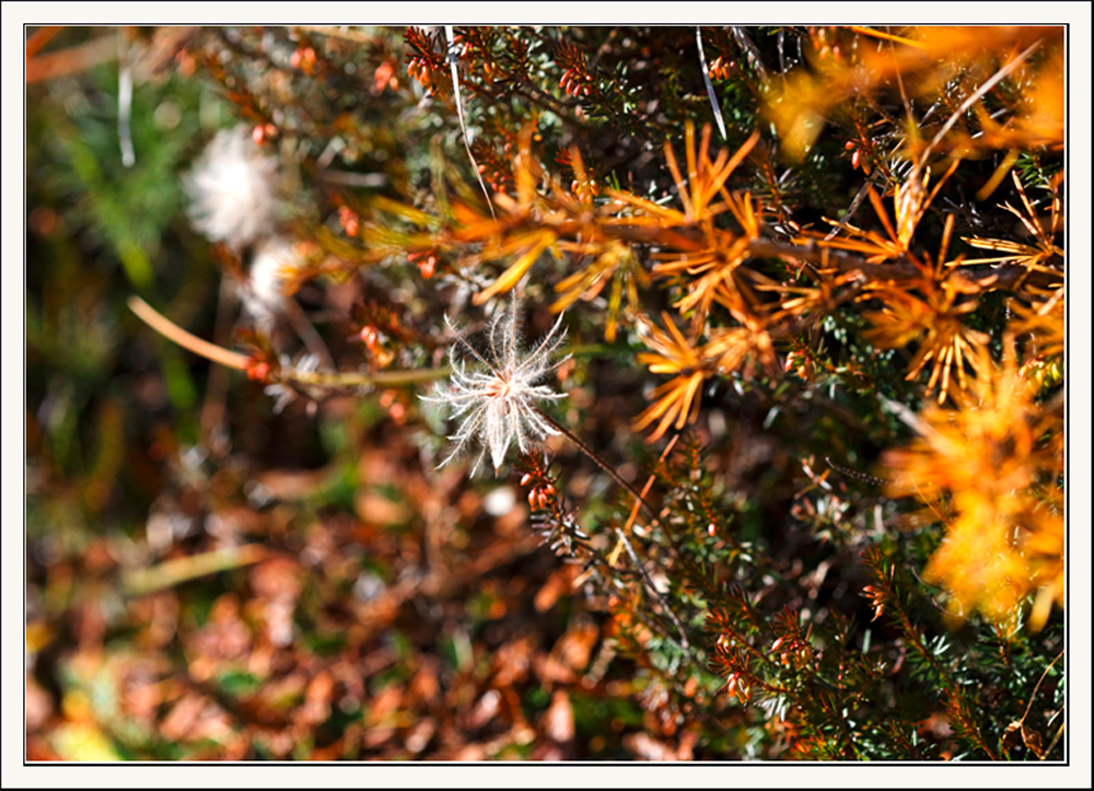 Herbstfarben ...