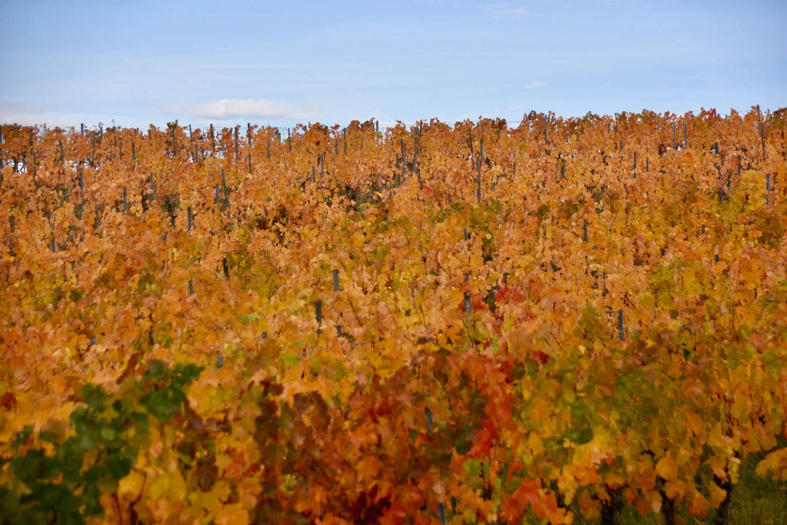 Herbstfarben