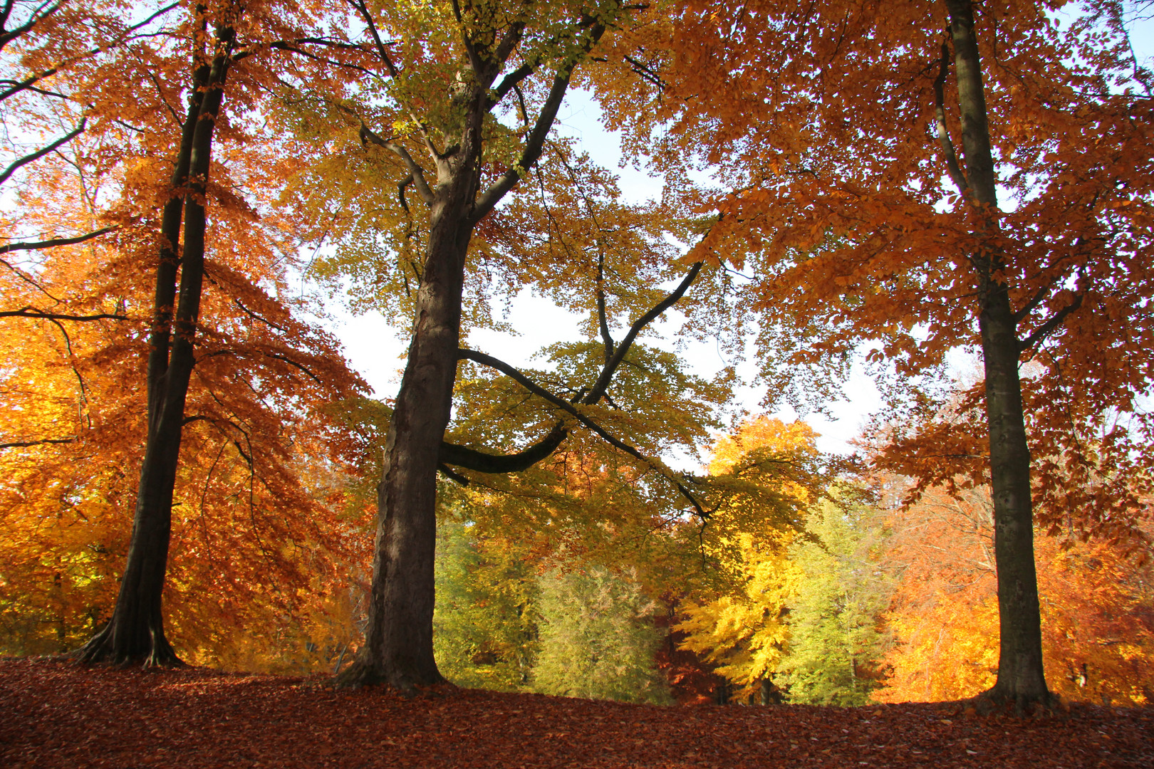 Herbstfarben