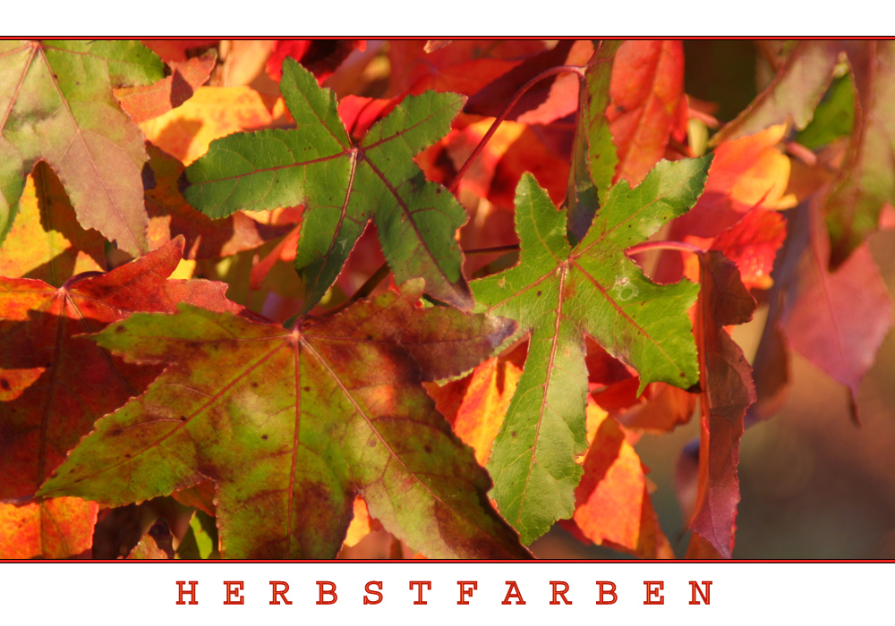 Herbstfarben