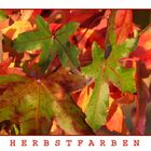 Herbstfarben