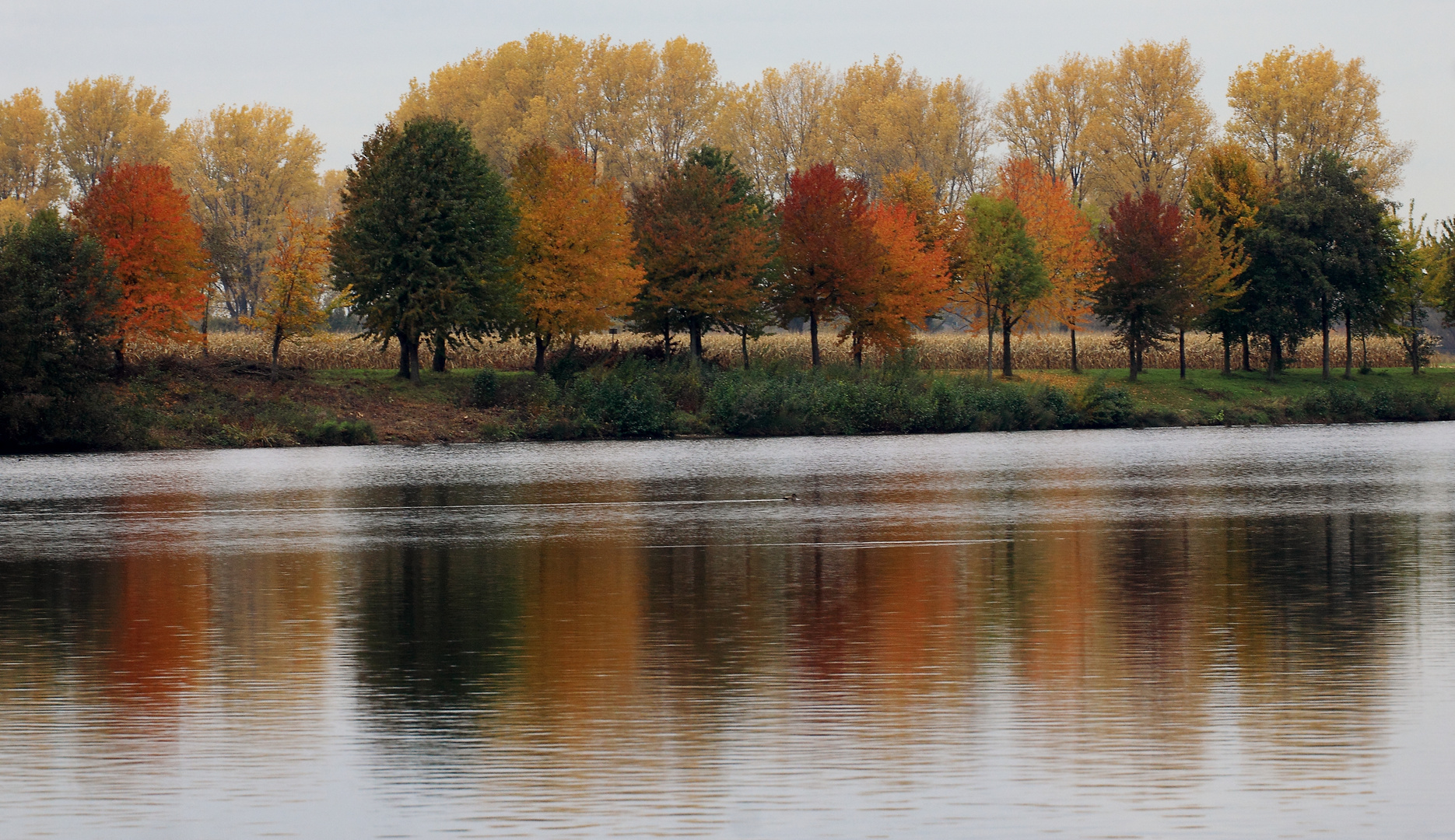 Herbstfarben