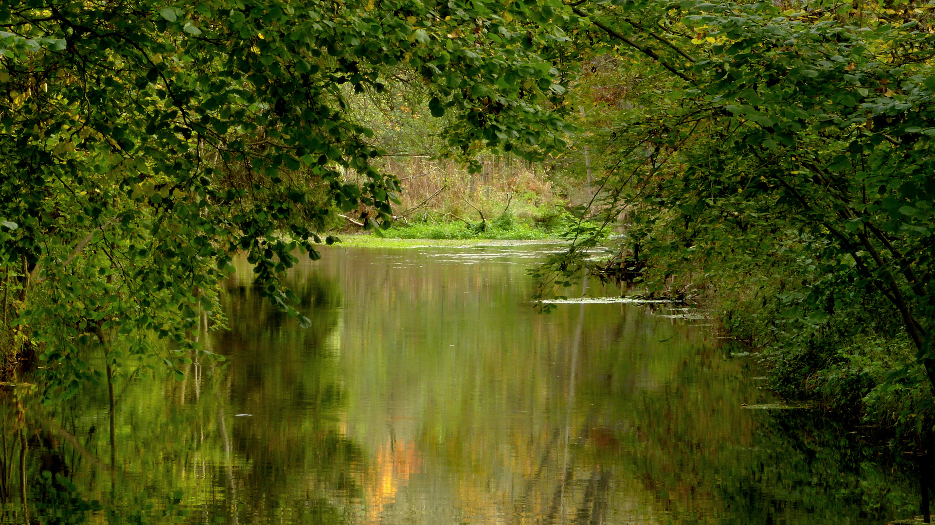 Herbstfarben