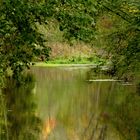 Herbstfarben