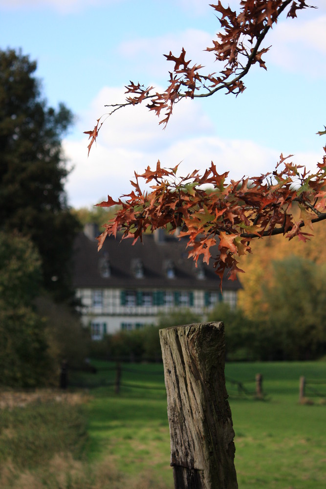 Herbstfarben...