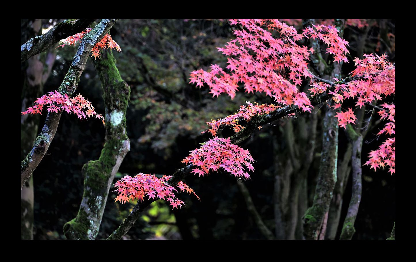 Herbstfarben