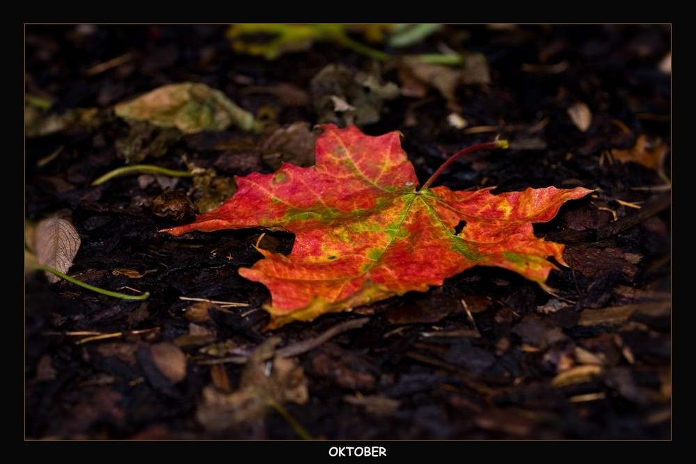 Herbstfarben