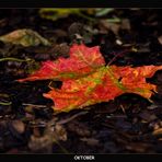 Herbstfarben