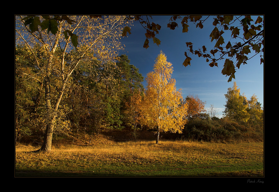 Herbstfarben