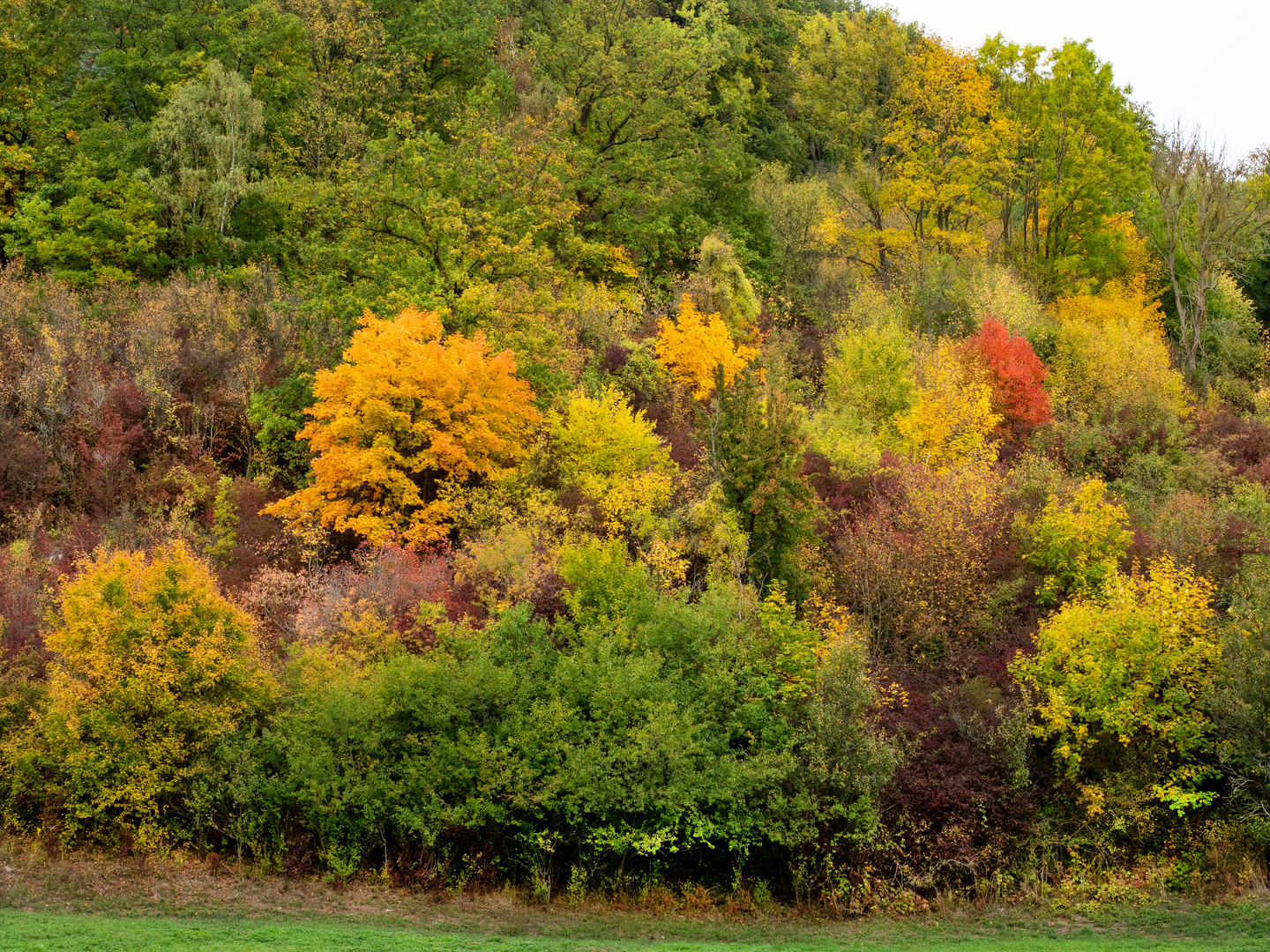 Herbstfarben