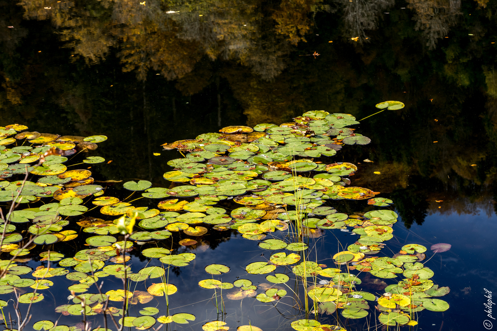 Herbstfarben