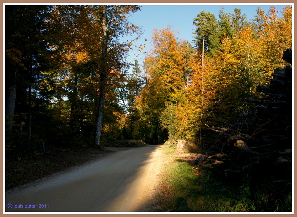 Herbstfarben