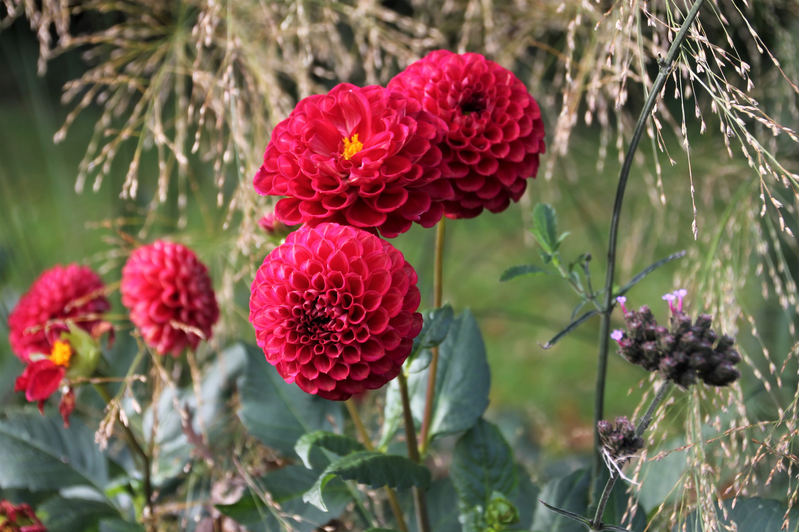 Herbstfarben