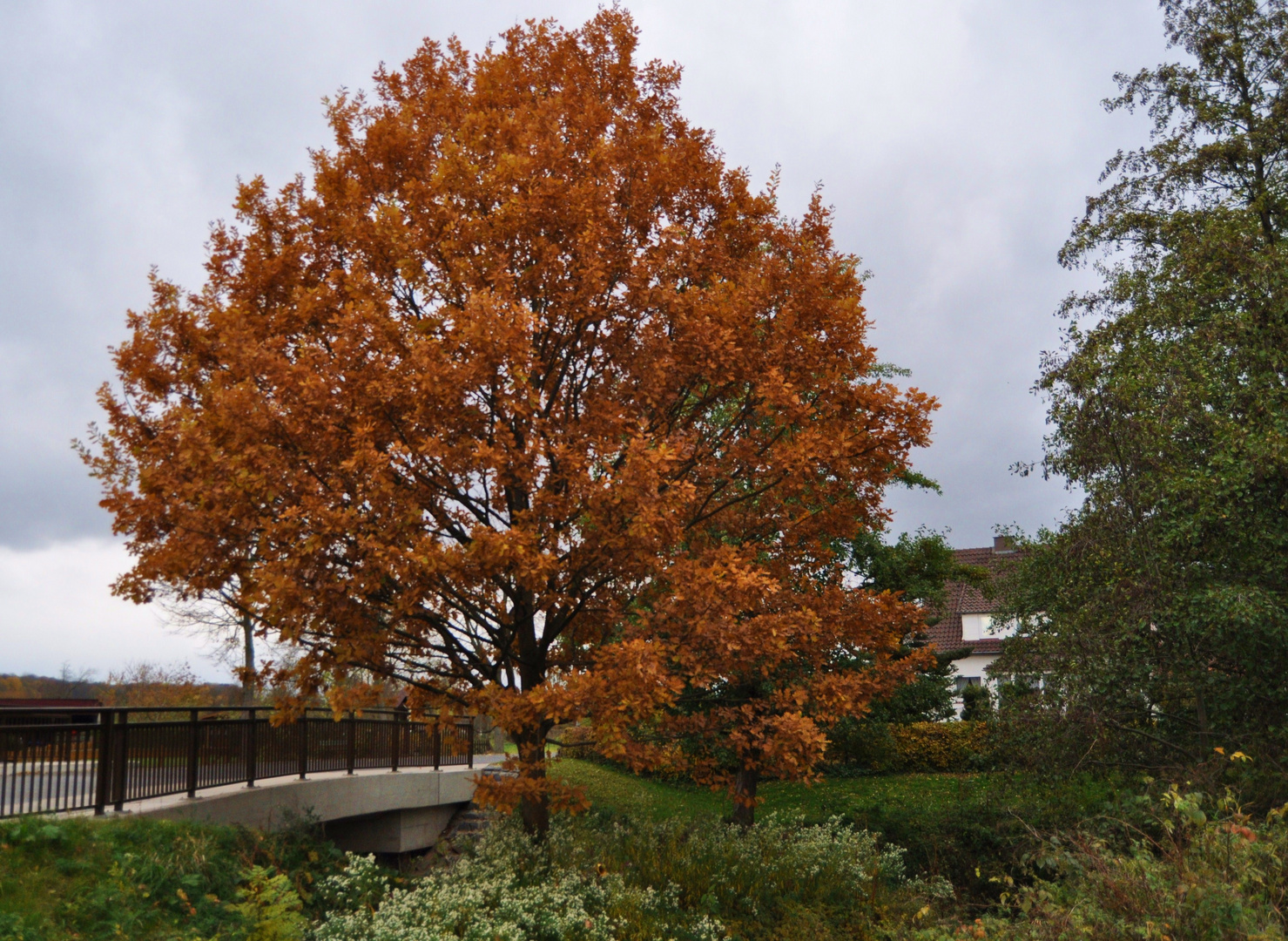 Herbstfarben