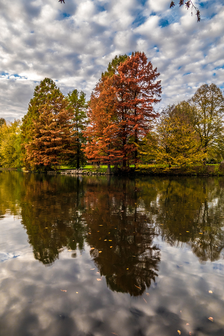 --Herbstfarben--