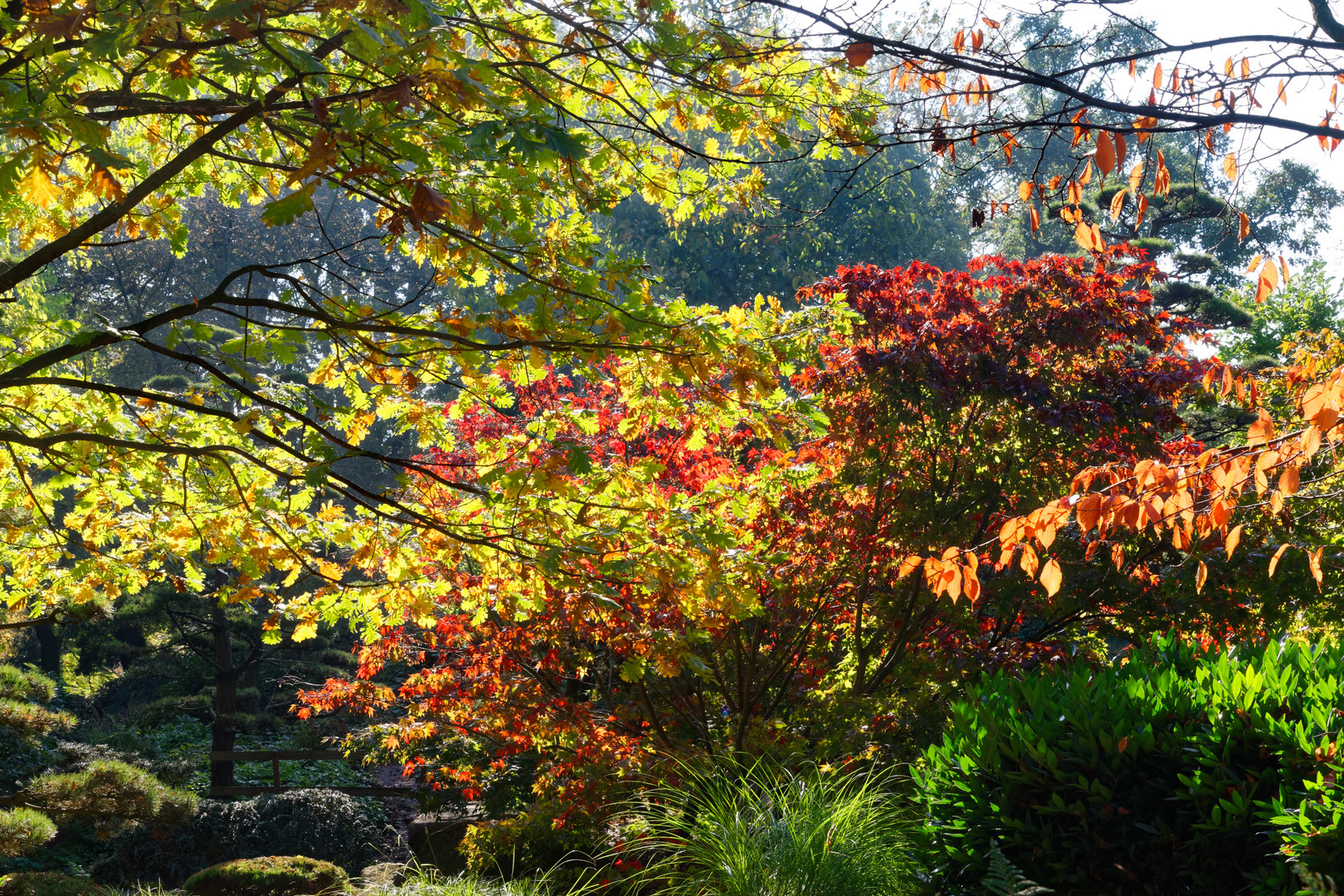 Herbstfarben