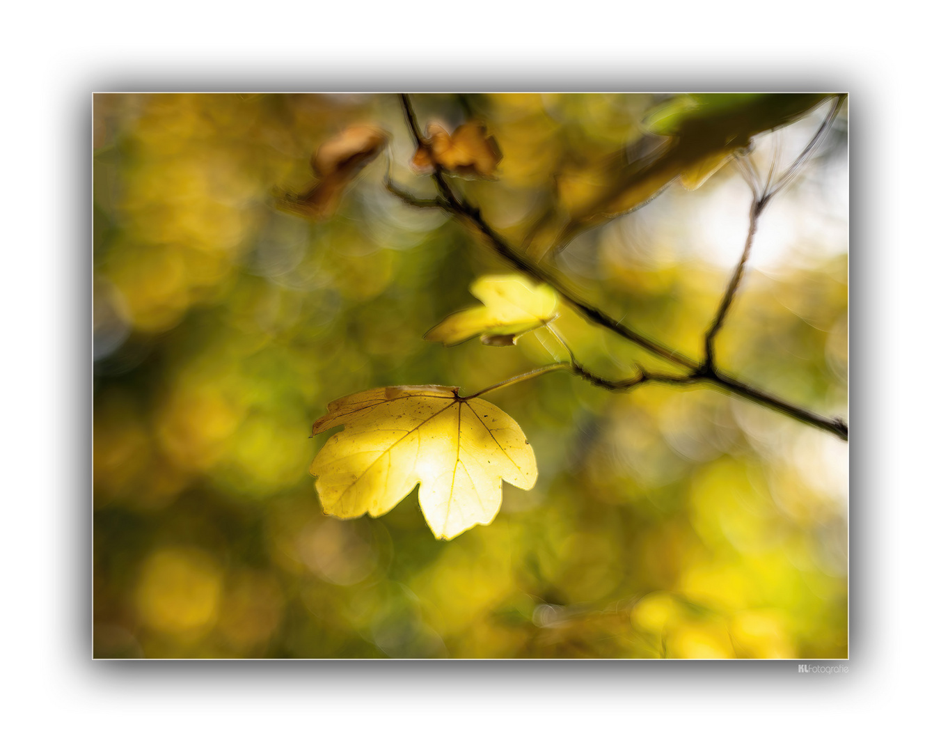 Herbstfarben