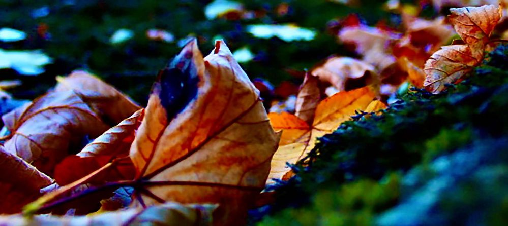 Herbstfarben