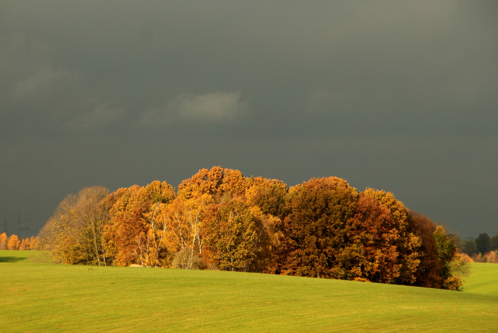 Herbstfarben