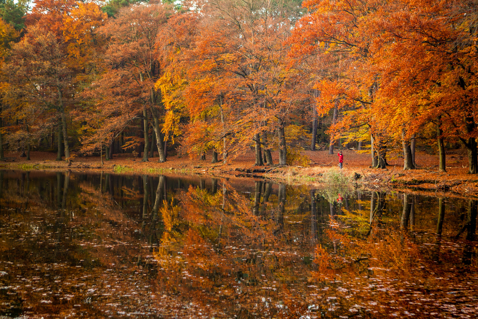 Herbstfarben