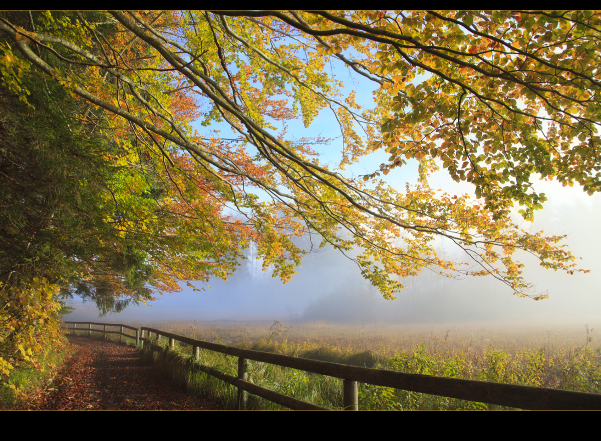 Herbstfarben