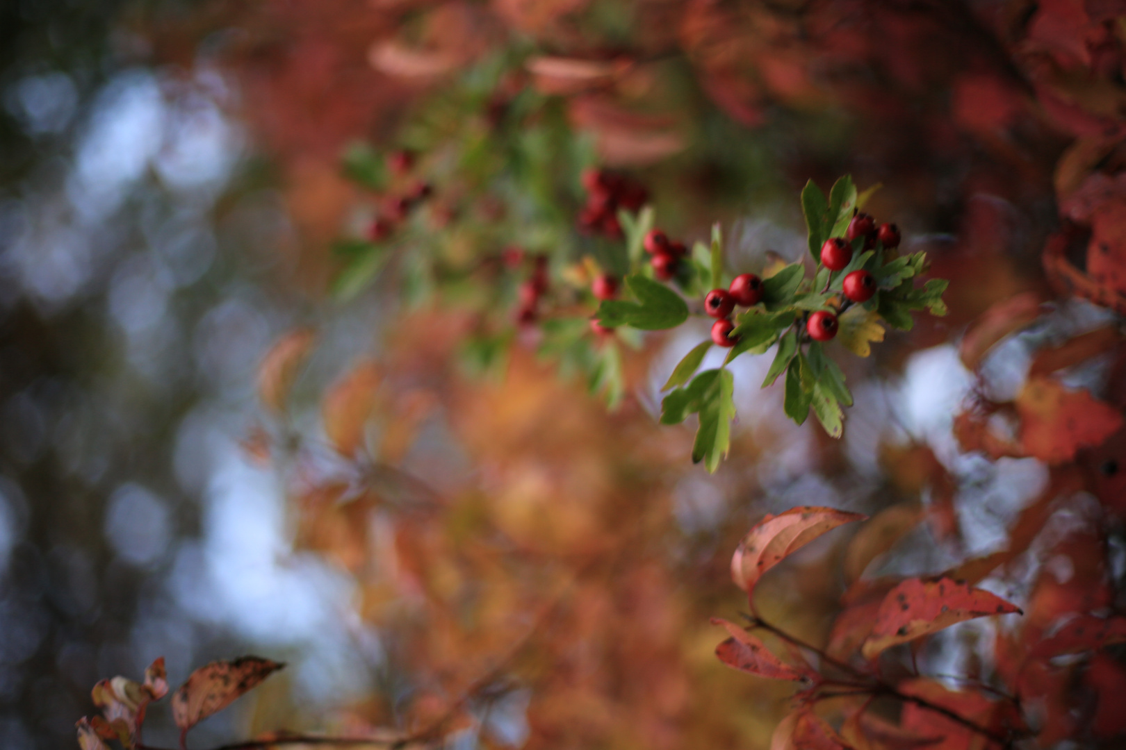 Herbstfarben