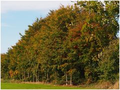 Herbstfarben