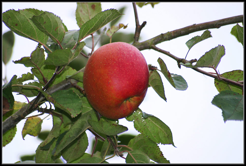 Herbstfarben